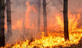 В Чеченской Республике ожидается чрезвычайная и высокая пожароопасность