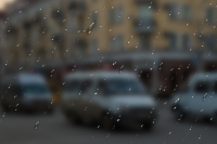 В Чечне ожидаются ливни с грозой и градом