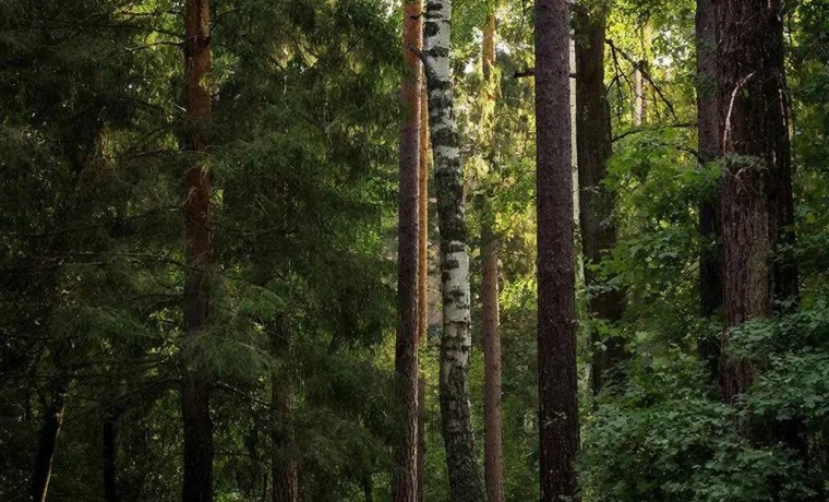 В ГГНТУ прошла акция по посадке деревьев, приуроченная ко Дню рождения Первого Президента ЧР