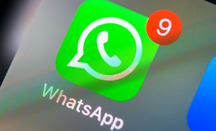 В России опровергли информацию о запрете учителям использовать WhatsApp