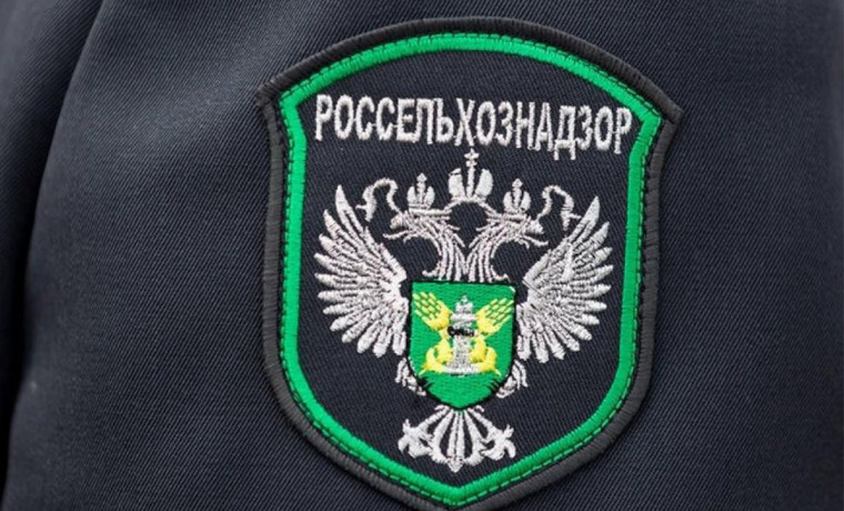 Ислам Ахмедов: Без стимулов для бизнеса биологизация сельского хозяйства затруднена