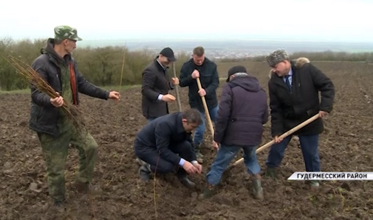 В Чечне приняли участие в первой в мире экологической интернет-акции