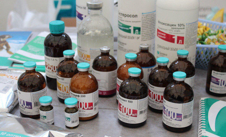 Россельхознадзор заблокировал 32 сайта с незаконной продажей ветеринарных препаратов