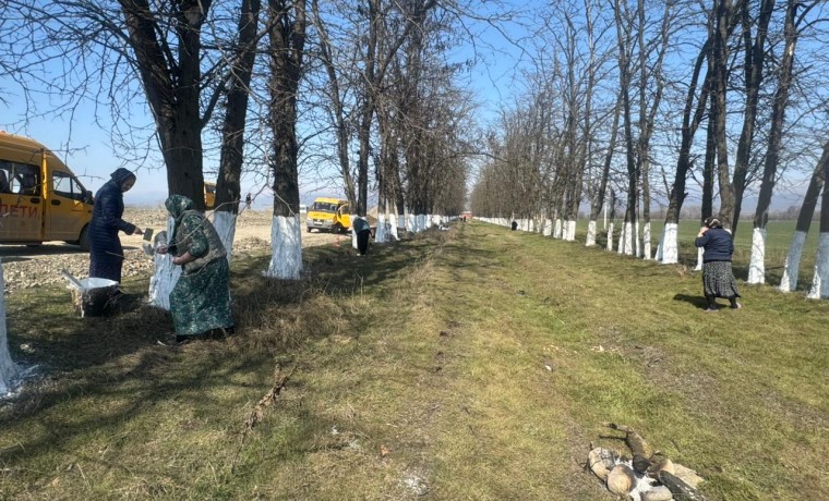 В Серноводском районе прошел массовый субботник по побелке деревьев