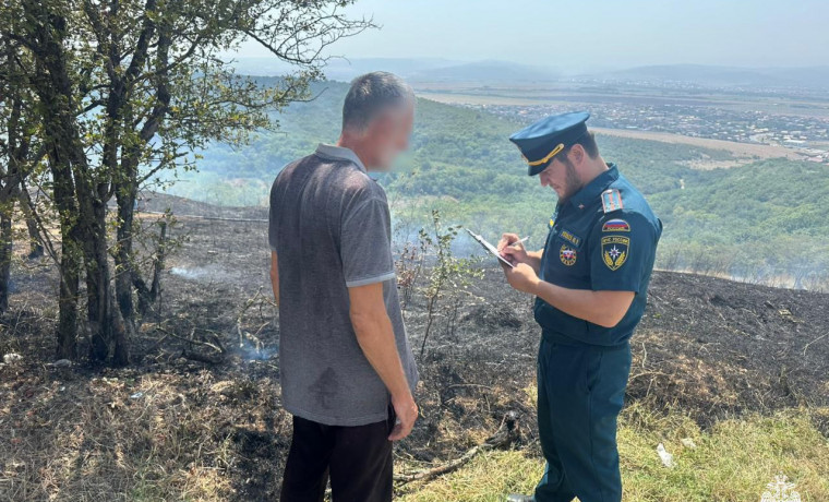 В Чеченской Республике составлено 331 дело за сжигание ландшафта