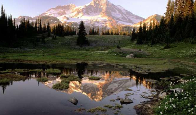 В Чечне объявлен конкурс стихотворений «Природа края в поэтический строке»