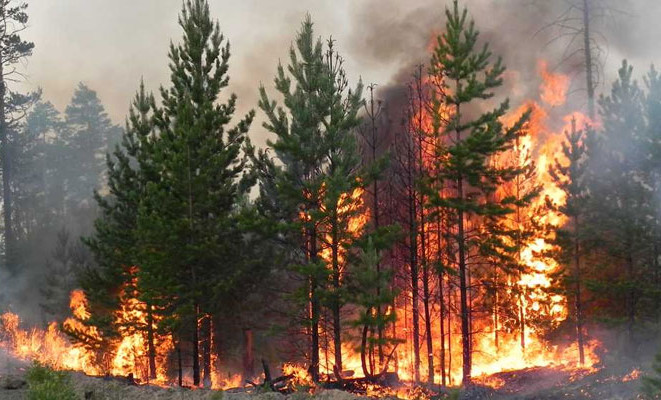 Чеченский ЦГМС предупреждает об усилении риска возникновения природных пожаров