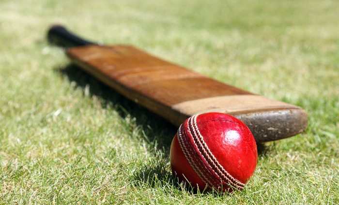 Минпросвещения РФ разработало для школьников курс по лапте