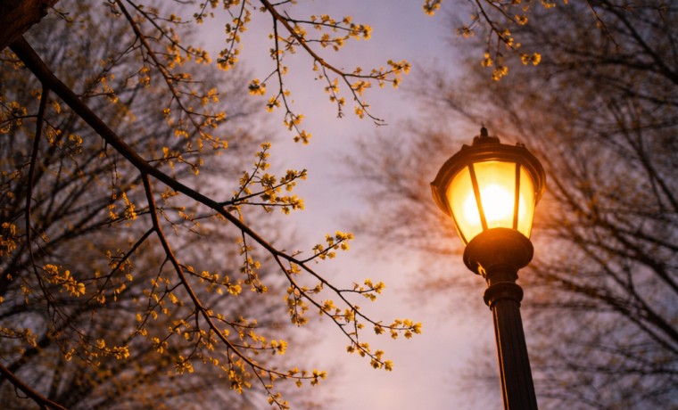 17 марта в ряде населённых пунктов Чеченской Республики временно ограничат электроснабжение